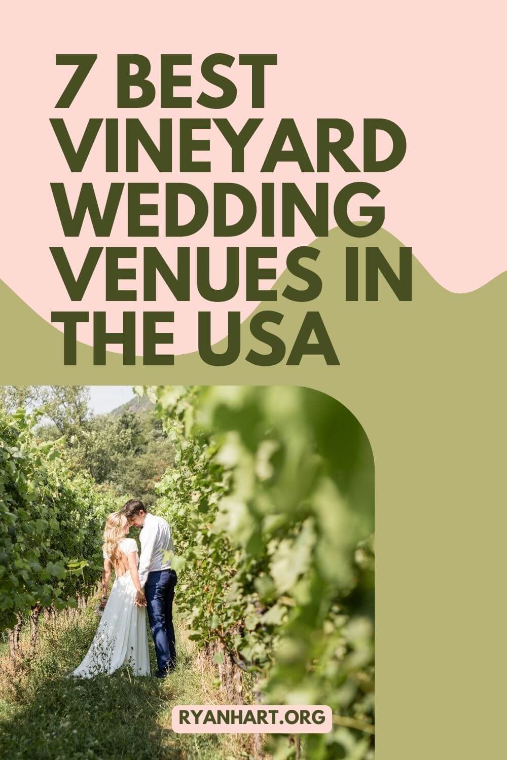 Bride and groom in vineyard