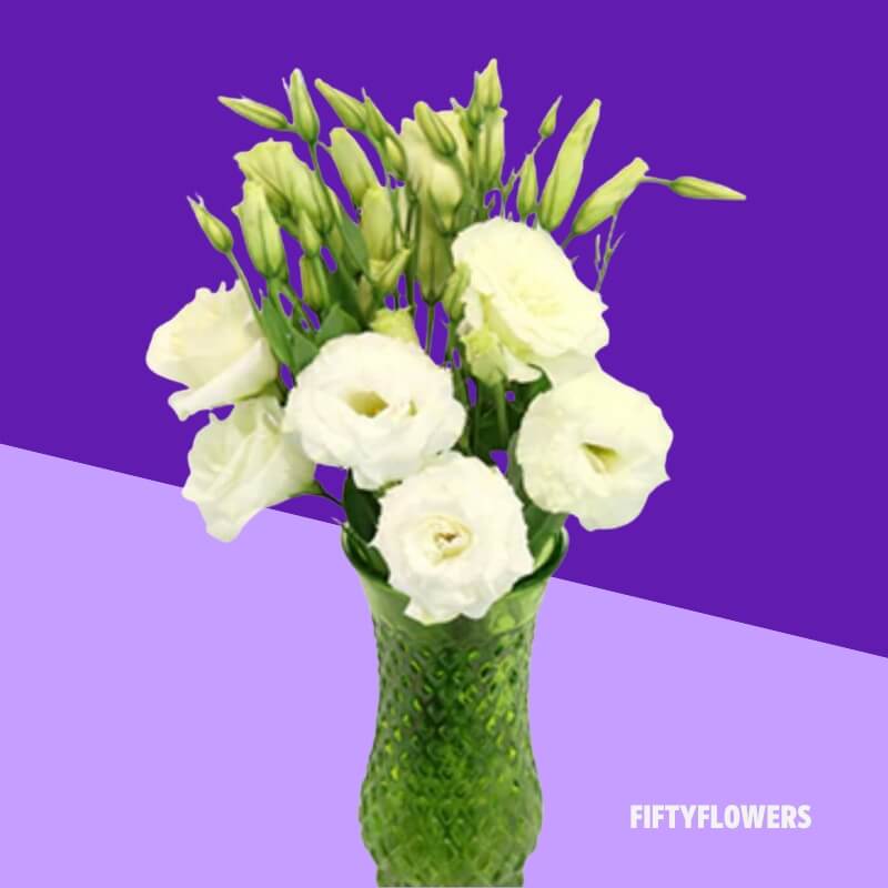 Lisianthus