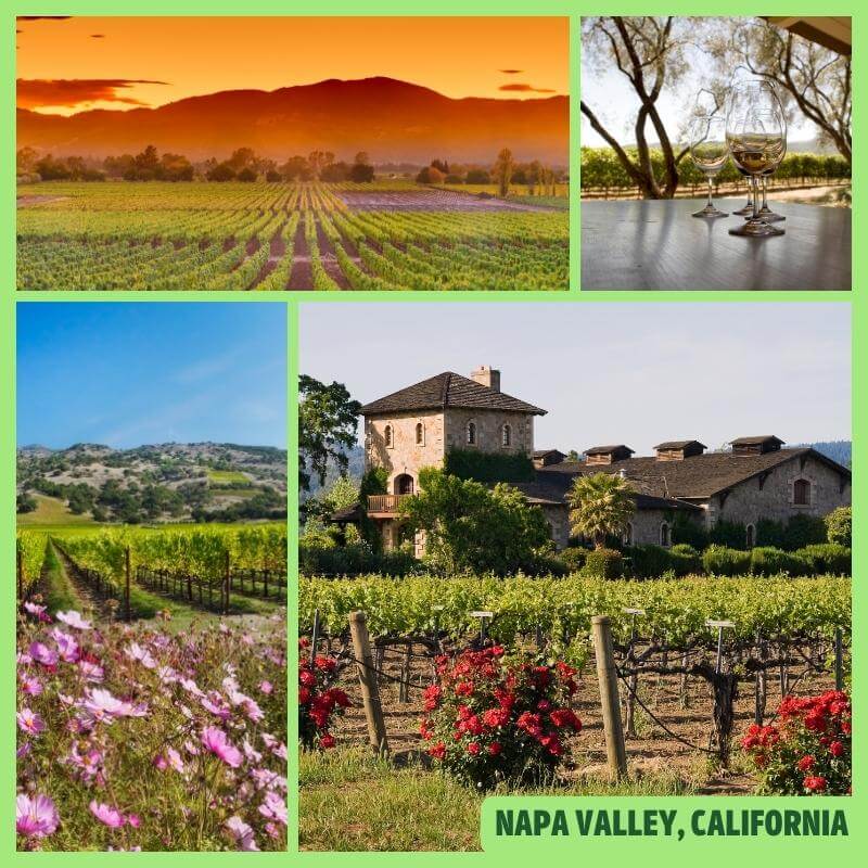 Napa Valley, California