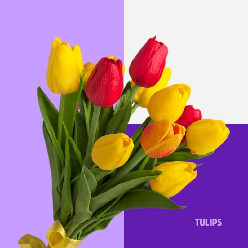 Tulips