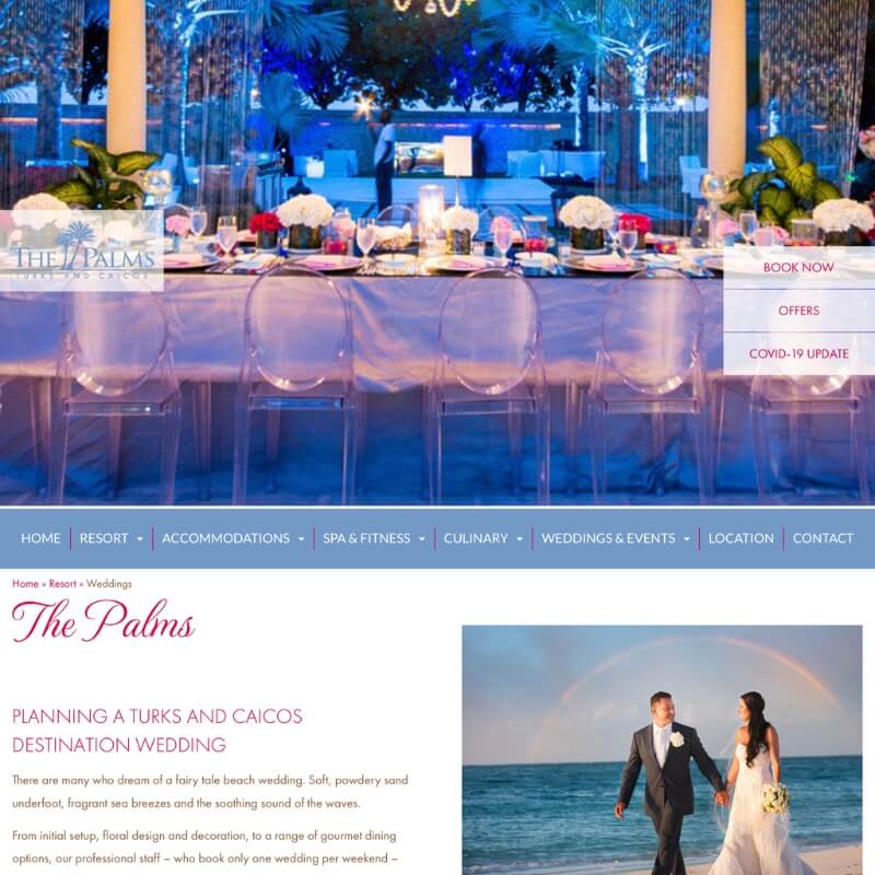 the palms website