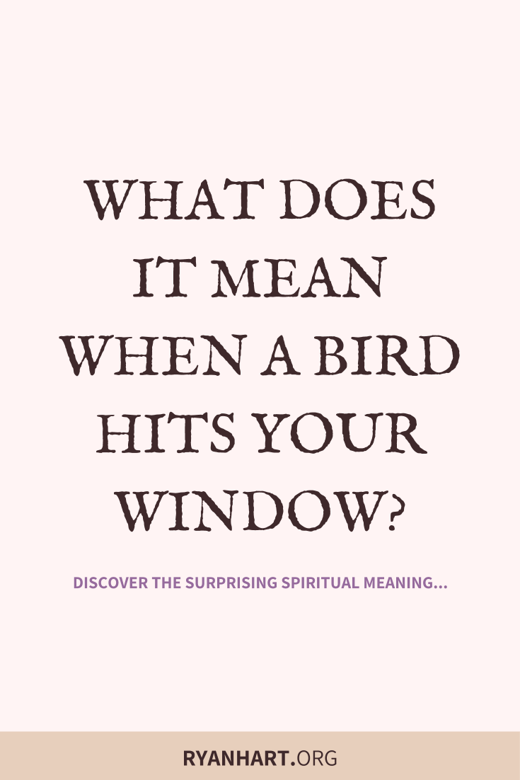 Image of Bird Hitting Window