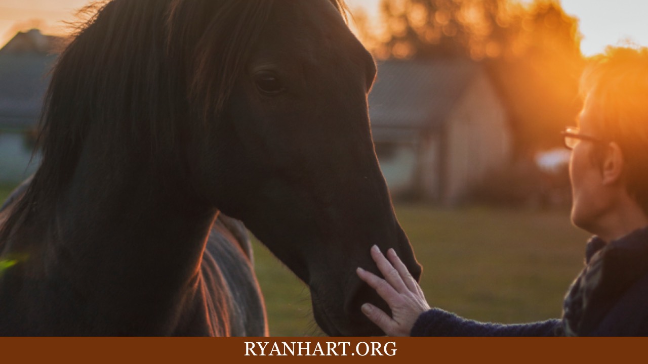 Woman petting horse