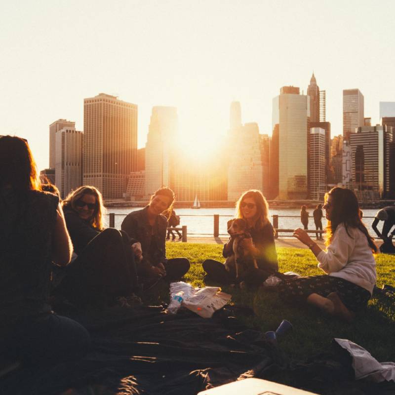 Group of People Sitting in a Park