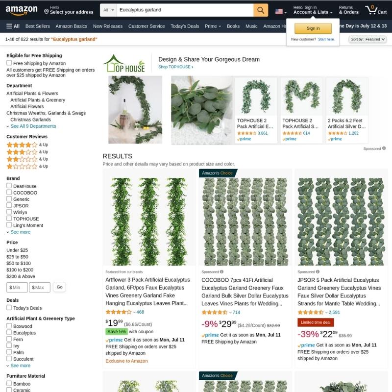 Amazon website