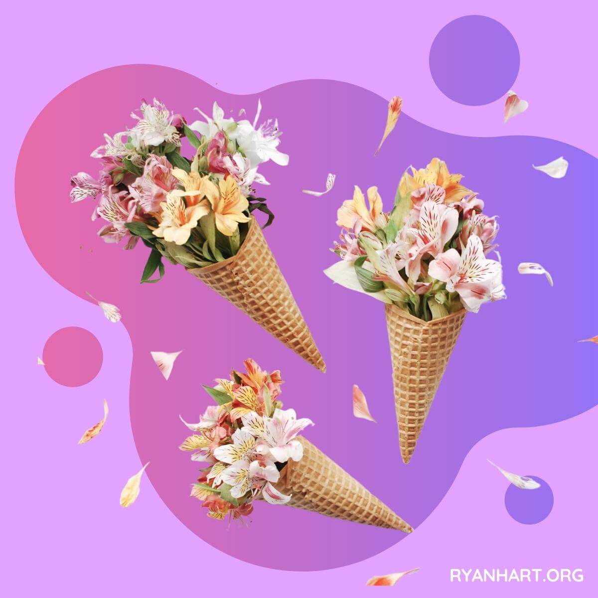 Flowers Arranged in Ice Cream Cones
