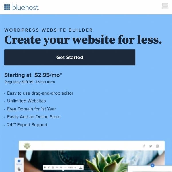 Bluehost website